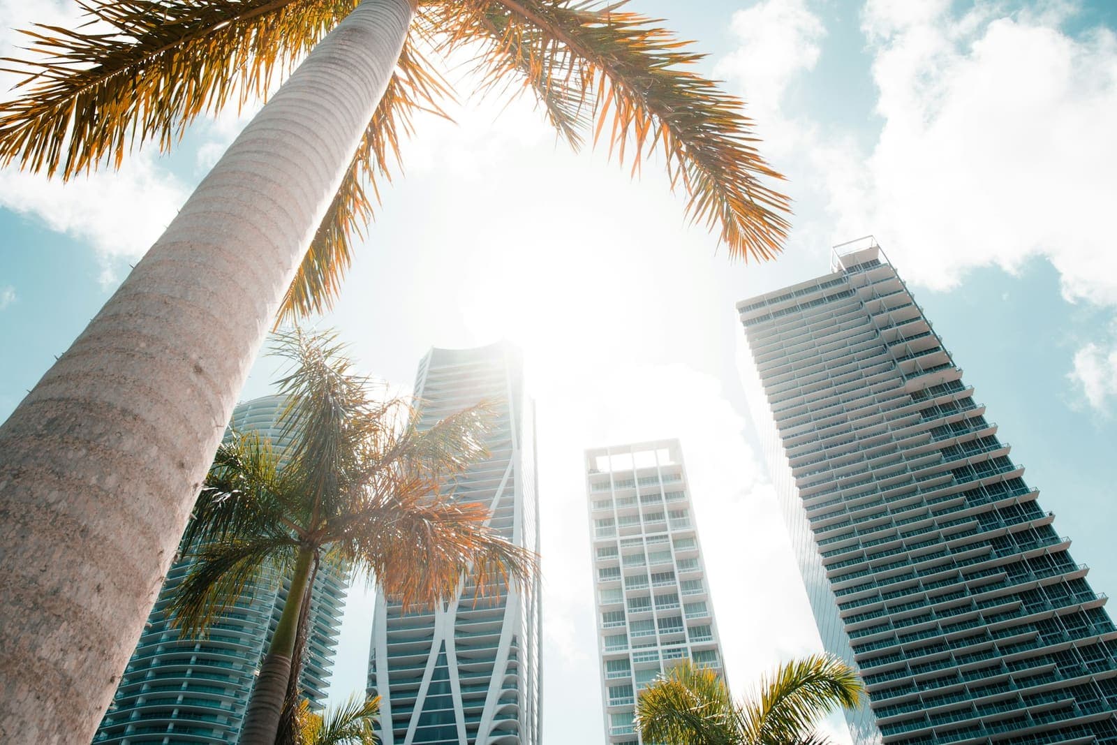 Brickell high-rise towers (placeholder stock photo)