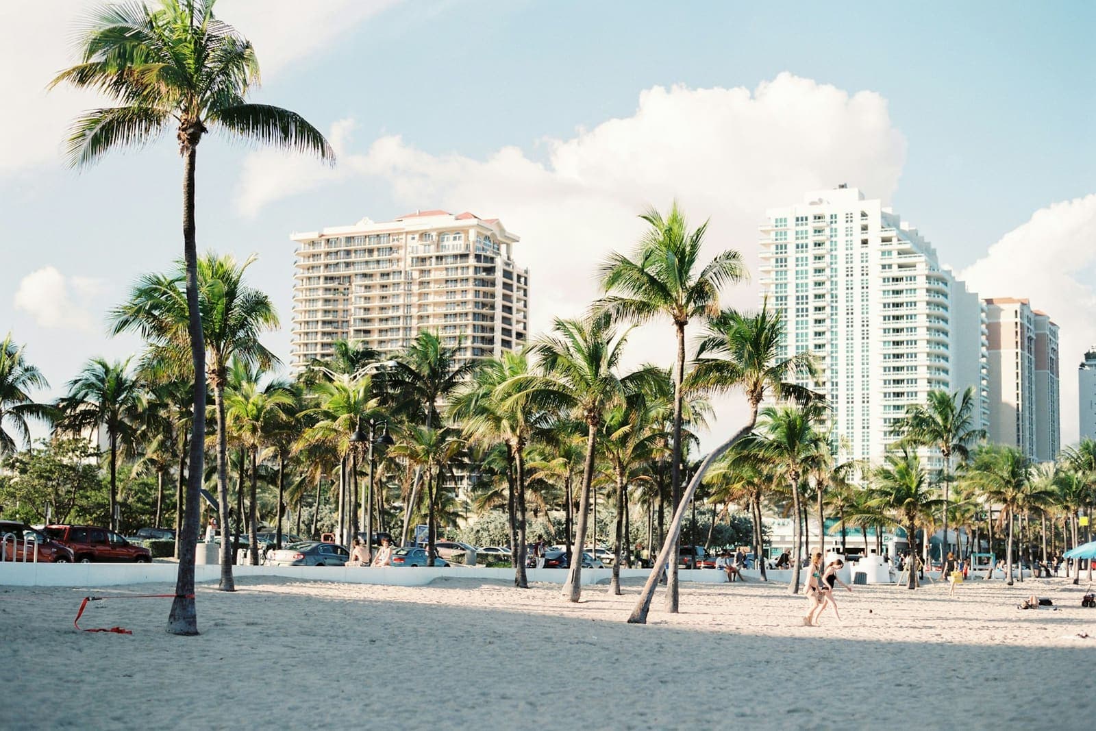 Palm trees against Miami buildings (placeholder stock photo)